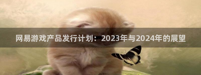 蓝图娱乐官网电子商务有限公司招聘：网易游戏产品发行计划：2023年与2024年的展望