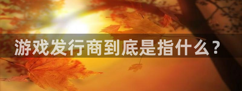 蓝图娱乐解绑银行卡怎么弄：游戏发行商到底是指什么？