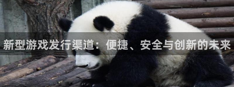 蓝图娱乐官网电商怎么样：新型游戏发行渠道：便捷、安全与创新的未来