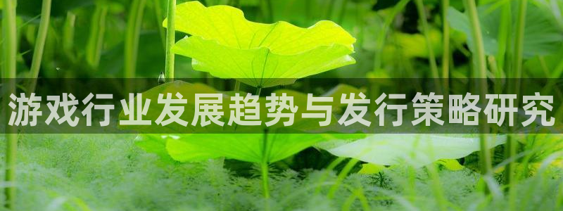 四川蓝图娱乐官网科技有限公司怎么样：游戏行业发展趋势与发行策略研究