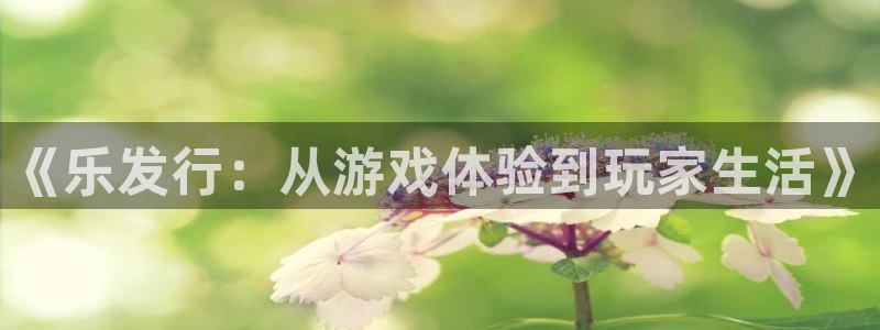 蓝图娱乐平台代理开号流程：《乐发行：从游戏体验到玩家生活》