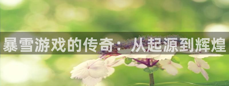 蓝图娱乐官网电子商务有限公司：暴雪游戏的传奇：从起源到辉煌