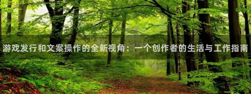 蓝图娱乐注册地址在哪里啊：游戏发行和文案操作的全新视角：一个创作者的生活与工作指南