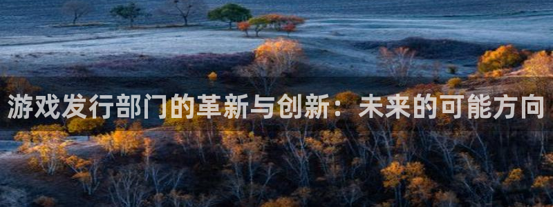 蓝图娱乐登录注册账号安全吗可靠吗：游戏发行部门的革新与创新：未来的可能方向